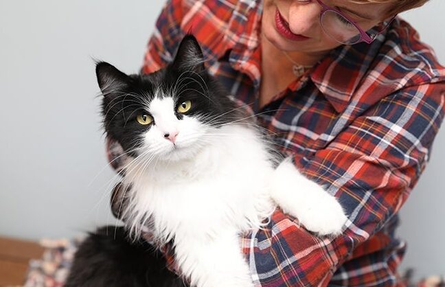 Your Guide to Certificate III in Wildlife & Animal Care