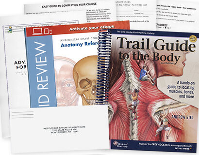 Your Guide to Certificate IV in Massage Therapy Online