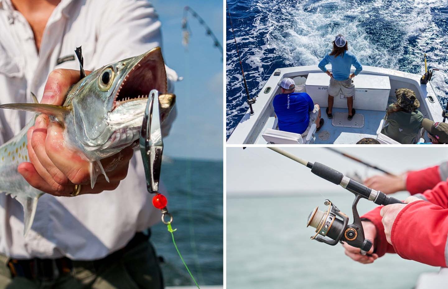 Your Guide to Recreational Fishing Licenses in WA: What You Need to Know
