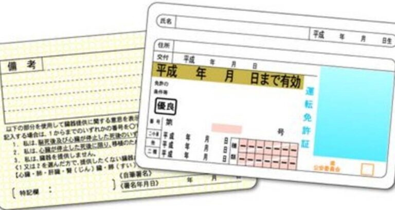 Your Ultimate Guide to Converting Your License in New Zealand
