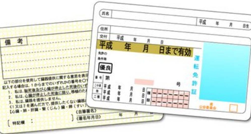Your Ultimate Guide to Converting Your License in New Zealand